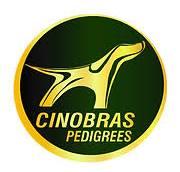 Cinobras Pedigrees